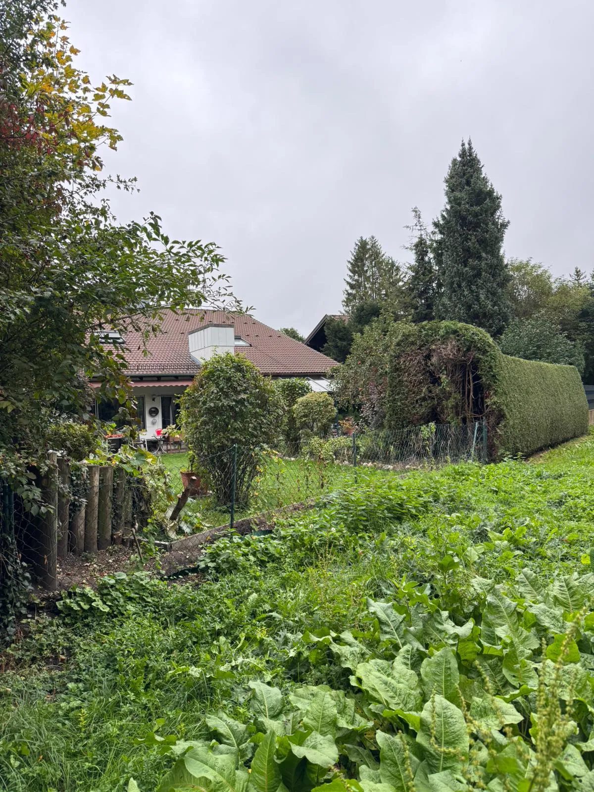 Vorher
